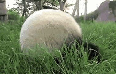 了!聊聊下半年值得期待的国内新赛事凯发网址这些美食之城也将举办马拉松(图2) 了!聊聊下半年值得期待的国内新赛事凯发网址这些美食之城也将举办马拉松(图2)